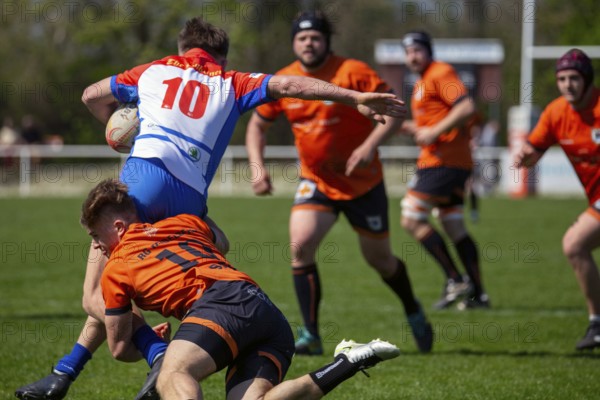 Rugby 1st Bundesliga South/West, Season 2024/25, Matchday 10: RG Heidelberg vs Heidelberger Ruderklub 1872