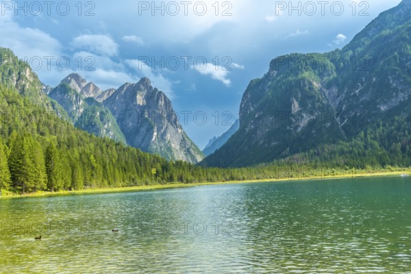 Calm water reflecting majestic mountains and lush forest on a sunny summer day at lake dobbiaco, a popular destination in the italian dolomites
