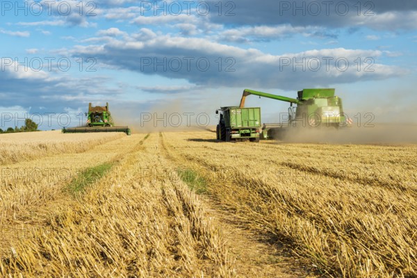 Combine harvester harvesting wheat and unloading grain onto tractor with trailer, endless cornfield, blue sky with cumulus clouds, Saalekreis, Saxony-Anhalt, Germany, Europe