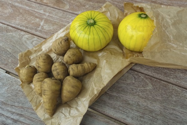Chaerophyllum bulbosum, chervil turnip, chervil bulb, healthy root, courgette (Cucurbita pepo subsp. pepo convar. giromontiina), courgette, yellow, round courgette, vegetables, healthy cuisine, pumpkin plant, healthy nutrition, vegetable cuisine, food photography, studio, Germany, Europe