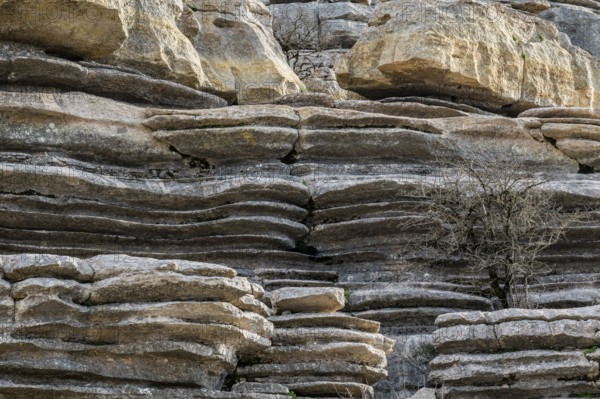 Bizarre limestone rock formations, El Torcal nature reserve, Torcal de Antequera, Malaga province, Andalusia, Spain, Europe
