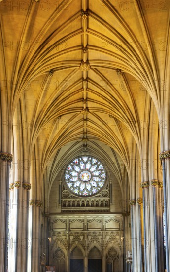 Vaulted roof ceiling inside Bristol cathedral church, Bristol, England, UK