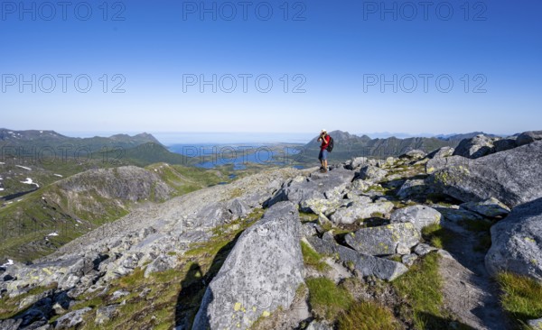 View of mountains and fjord landscape, mountaineer at the summit of Rundfjellet, Svolvaer, Nordland, Norway, Europe