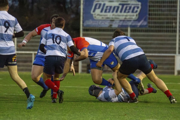 Rugby 1st Bundesliga South/West, season 2024/25, matchday 7 (catch-up match) : Heidelberger Ruderklub 1872 against Rugby Club Luxembourg