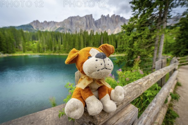 Plush dog sitting on a wooden fence, admiring the breathtaking view of lake carezza with the dolomites in the background