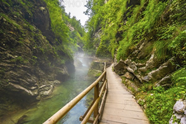 Scenic view of a wooden walkway winding along a stunning emerald river in vintgar gorge near bled, slovenia, showcasing the natural beauty of the canyon