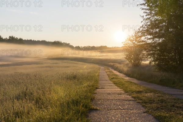 Field path between meadows and grain field with morning mist at sunrise, Bischofswerda, Saxony, Germany, Europe