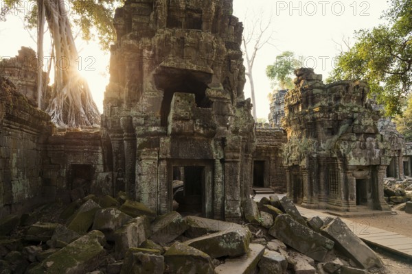 Ta Prohm, Angkor Wat, Angkor, UNESCO World Heritage Site, Siem Reap, Cambodia, Indochina, Southeast Asia, Asia