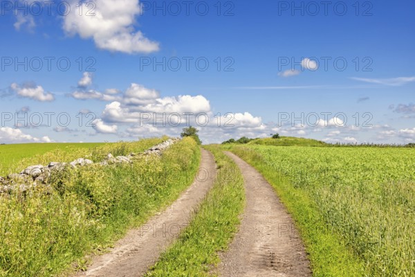 Empty dirt road with a grass shoulder by a stone wall in the countryside with green fields a sunny summer day with a blue sky