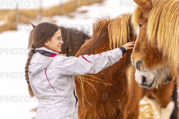 Woman stroking brown horses in Iceland winter