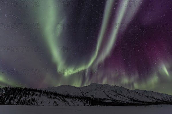Green, yellow and purple northern lights (aurora borealis) over snowy mountains, northern lights storm, Brooks Range, Alaska, USA, North America