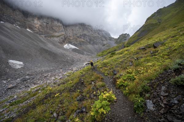 A mountaineer on a mountain path with lush green vegetation in foggy weather, hiking trail to Valentintörl, cloudy mountain peaks, Carnic Alps, Carnic High Trail, Carinthia, Austria, Europe