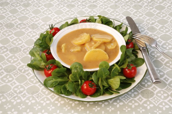Swabian cuisine, sour potato wheels, potato slices in sour sauce, healthy cuisine, typical Swabian, home cooking, traditional cuisine, food photography, studio