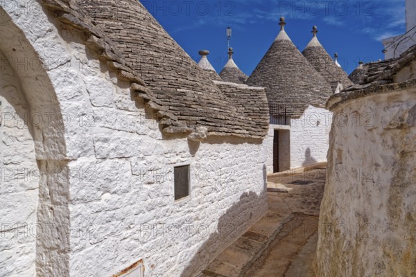 Whitewashed trulli, round houses with stone roofs, in the southern Italian town of Alberobello. The historic town centre, which is entirely built up with trulli, is a UNESCO World Heritage Site. Alberobello, Apulia, Southern Italy, Southern Europe