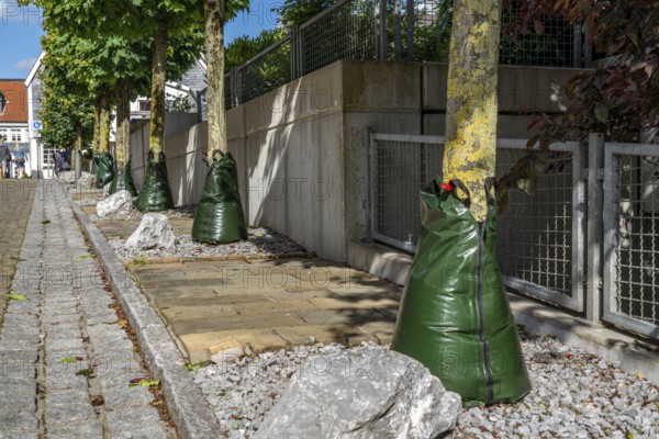 Treegator irrigation system, for targeted irrigation of trees in dry conditions, water bags that deliver water to the trees in 5-9 hours, food