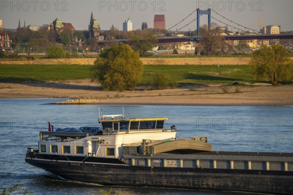 Cargo ship on the Rhine near Duisburg-Beeckerwerth, skyline of the city centre, with town hall, North Rhine-Westphalia State Archive Tower, Friedrich Ebert Bridge, Duisburg, North Rhine-Westphalia, Germany, Europe