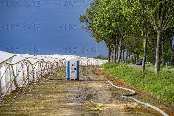 Agriculture, large areas with foil tunnel, for the cultivation of strawberries, south of Lövenich, belongs to Erkelenz, in the district of Heinsberg, mobile loo for field workers, North Rhine-Westphalia, Germany, Europe