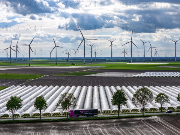 Agriculture, large areas with foil tunnel, for the cultivation of strawberries, freshly cultivated fields, wind farm, south of Lövenich, belongs to Erkelenz, in the district of Heinsberg