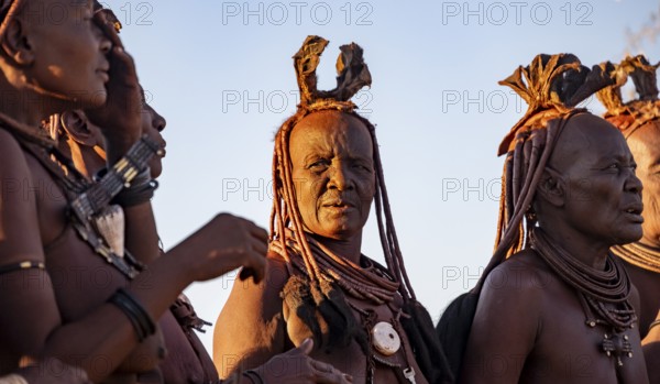 Traditional Himba woman clapping, music and dance, portraits, in the evening light, near Opuwo, Kaokoveld, Kunene, Namibia, Africa