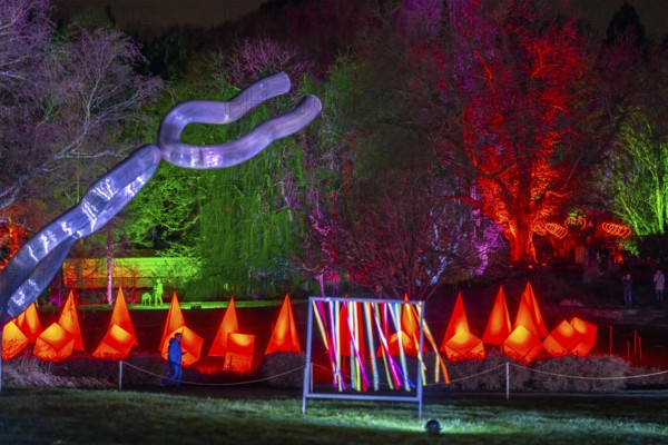Parkleuchten, event in winter, in the Grugapark in Essen, many different light installations, across the park, attract many thousands of visitors, North Rhine-Westphalia, Germany, Europe