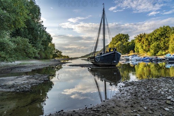 The Rhine at extremely low water, near Bad Honnef Rhöndorf, below the Drachenfels, the historic Rhine ship, Aalschokker Aranka, in the Old Rhine arm, on the island of Grafenwerth, dry banks of the Rhine, North Rhine-Westphalia, Germany, Europe