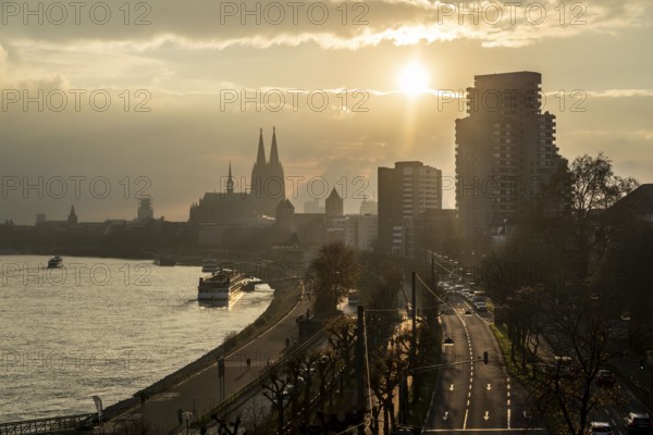 The Rhine near Cologne, sunset, Cologne Cathedral, cargo ship, North Rhine-Westphalia, Germany, Europe