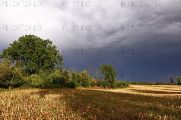Harvested field after a thunderstorm, Naumburg, Burgenlandkreis, Saxony-Anhalt, Germany, Europe
