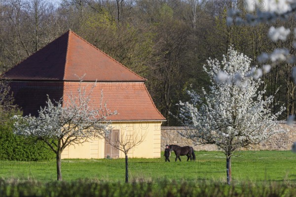 Fischerhaus am Fasanenschlösschen, Moritzburg, Saxony, Germany, Europe