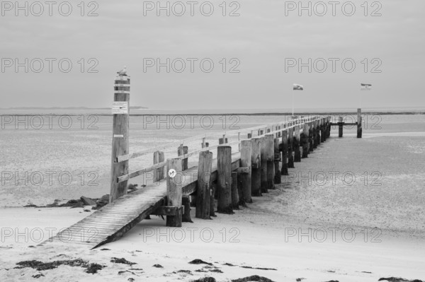 Pier at low tide, wooden jetty, black and white, Utersum, Föhr, North Sea island, North Frisia, Schleswig-Holstein, Germany, Europe