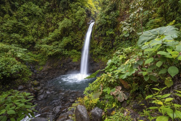 La Paz waterfall, waterfall in dense green vegetation, long exposure, Alajuela province, Costa Rica, Central America