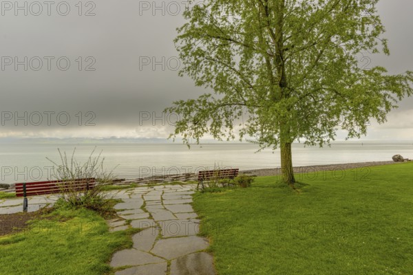 Shore of Lake Constance after a thunderstorm in spring, Friedrichshafen, Lake Constance district, Baden-Württemberg, Germany, Europe