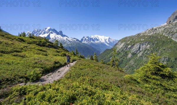 Mountaineer on hiking trail, mountain panorama with glaciated mountain peaks, Aiguille Verte with Aiguille du Midi and Mont Blanc, hike to Aiguillette des Posettes, Chamonix, Haute-Savoie, France, Europe