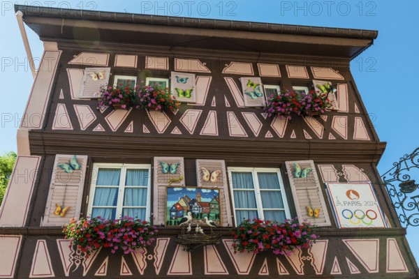 Half-timbered house in the old town, Colmar, Alsace, Bas-Rhin, France, Europe