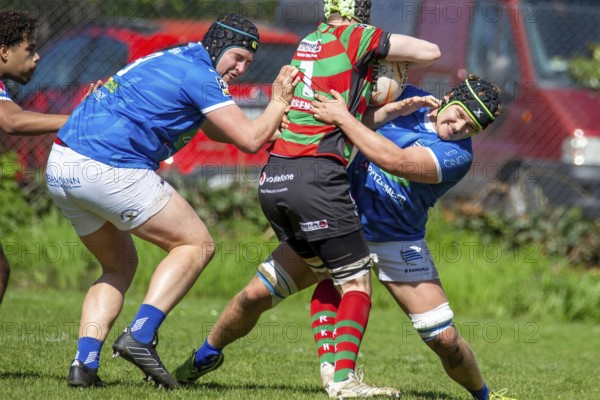 Heidelberg, 06.04.2024, Rugby 1st Bundesliga South/West, Season 2023/24, Matchday 10: SC Neuenheim vs RK Heusenstamm (93:7)