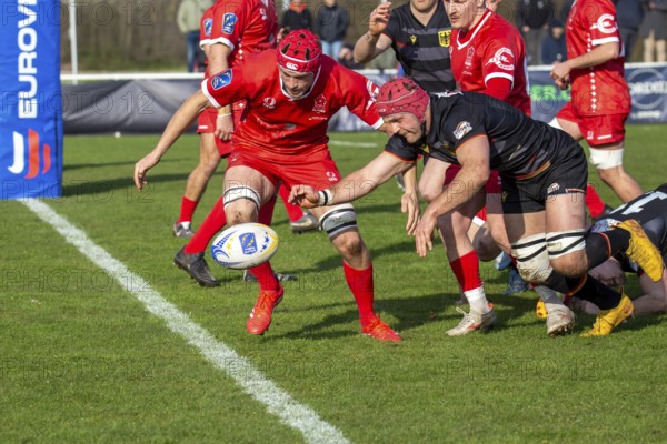 European Men's Rugby Championship, match for 7th place: Germany vs. Switzerland in Heidelberg