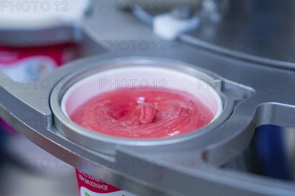 Raspberry ice cream in a cup during the filling process, ice cream production farm ice cream, Haselstaller Hof, Wildberg, Black Forest, Germany, Europe