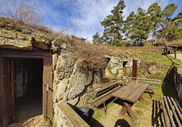 Cave dwelling in the Höhlenstrasse am Schäferberg, Langenstein cave dwellings, Halberstadt, Harz district, Saxony-Anhalt, Germany, Europe