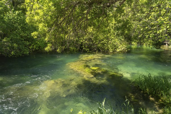 The Krka River in Krka National Park, Croatia, Europe