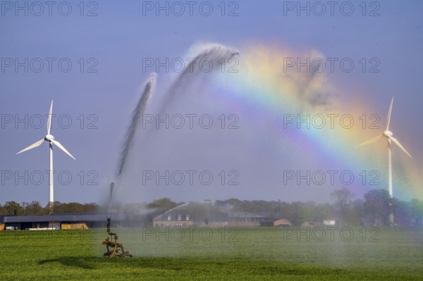 Artificial irrigation of a cereal field in April, with a sprinkler system, long dry spell in spring makes this necessary for the young plants to grow well, Kerken, Lower Rhine, North Rhine-Westphalia, Germany, Europe