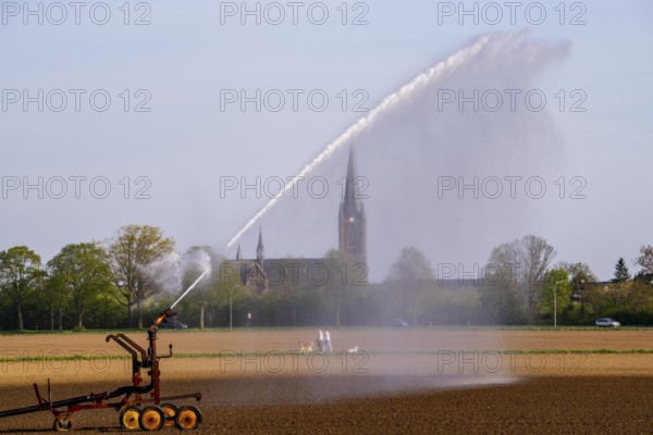Artificial irrigation of a field, freshly sown, in April, with a sprinkler system, long drought in spring makes this necessary so that the young plants grow well, near Kerken, the church of St Peter and Paul in Aldekerk, Lower Rhine, North Rhine-Westphalia, Germany, Europe
