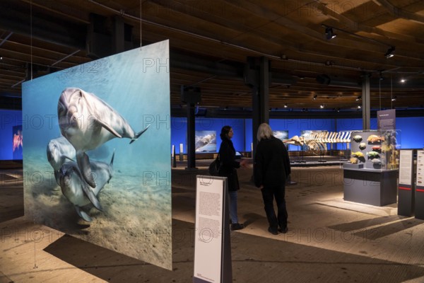 Plante Ozean exhibition in the Gasometer in Oberhausen, the world's oceans in their fragile beauty are the focus of the new exhibition, large-format photos, exhibits including a whale skeleton and an immersive large-scale video and sound installation, The Wave, on a 40 metre high screen measuring over 1000 square metres in total can be seen, Oberhausen, Germany, Europe