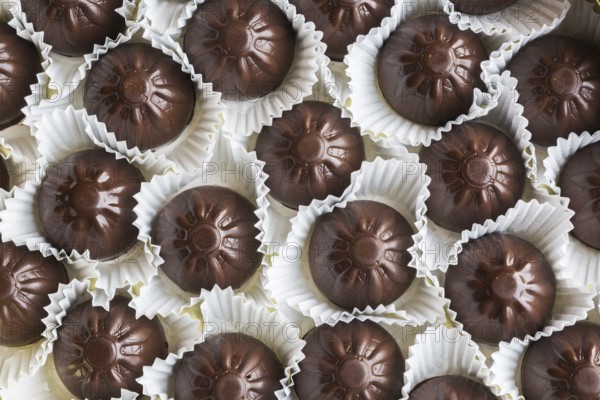 Top view and close-up of hand made fine milk chocolates in opened chocolate box, Studio Composition, Quebec, Canada, North America
