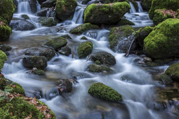 Gertelbach, Gertelbach Waterfalls, Gertelbach Falls, Gertelbach Gorge, Bühl, Bühlertal, Northern Black Forest, Black Forest, Baden-Württemberg, Germany, Europe