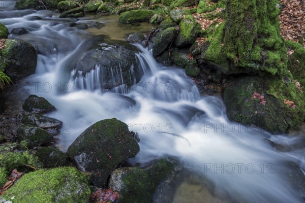 Gertelbach, Gertelbach Waterfalls, Gertelbach Falls, Gertelbach Gorge, Bühl, Bühlertal, Northern Black Forest, Black Forest, Baden-Württemberg, Germany, Europe