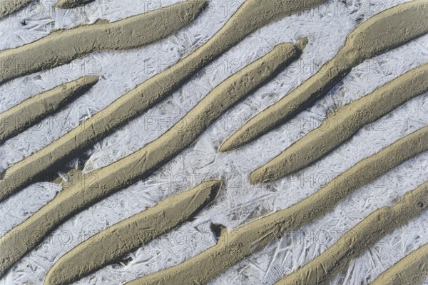 Pattern of sand ripples and ice on the beach during frost in winter, the Netherlands