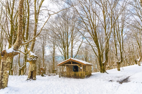 The refuge next to trees in the snow-covered Oianleku Natural Park in the town of Oiartzun, next to Peñas de Aya in winter, Gipuzkoa. Basque Country