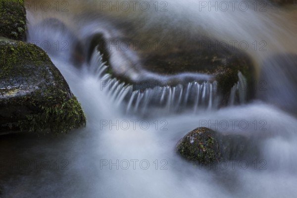 Gertelbach, Gertelbach Waterfalls, Gertelbach Falls, close-up, Gertelbach Gorge, Bühl, Bühlertal, Northern Black Forest, Black Forest, Baden-Württemberg, Germany, Europe