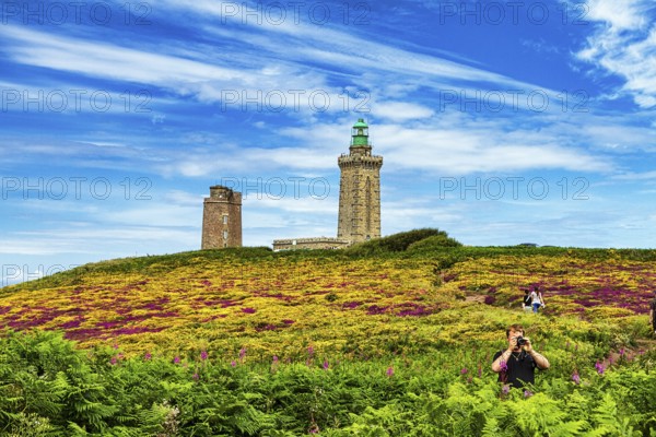 Flowering, colourful moorland, walkers on footpath to lighthouse, Cap Fréhel in summer, Emerald Coast, Brittany, France, Europe