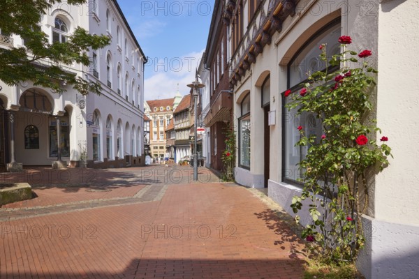 Pedestrian zone of red cobblestones and whitewashed houses with roses (pink) on the facade in the city centre of Stade, Hanseatic city, district of Stade, Lower Saxony, Germany, Europe