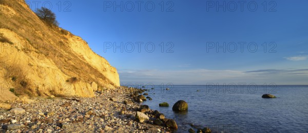 Cliffs and boulders on the coast of the Baltic Sea in the evening light, Reddevitzer Höft, Mönchgut peninsula, Rügen island, Mecklenburg-Western Pomerania, Germany, Europe